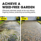 Doff Advanced Concentrated Weedkiller - 6 Sachets for Dilution in Water for Garden Protection – Kills Deep Rooted Weeds from Pathways to Driveways - Long Lasting Weed Control – Strong Weed Killer