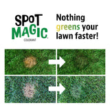 Spot Magic by Mark & Phil’s - Green Instant Lawn Grass Colorant Spray 24oz - Non-Toxic Pet & Kid Safe,- Long-Lasting Results for Concealing Brown & Pet-Damaged Grass Areas