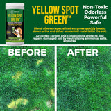 Yellow Spot Green™ Dog Urine Neutralizer for Lawns, Large 32 Ounce