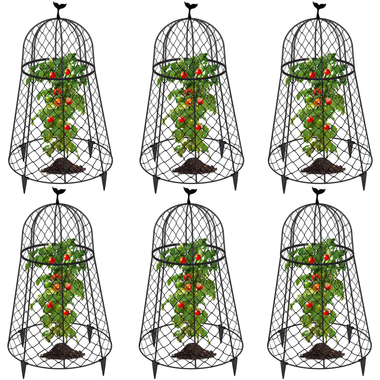 TAOMENNI 6 Packs Garden Cloches for Plants, Plant Protectors from Animals, Chicken Wire Cloche, Plant Cloche and Cage, Protection for Your Plants and Seedlings, 13" D x 20" H - Black