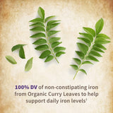 Garden of Life Prenatal Vitamins Organics Prenatal Multi - 90 Tablets, Vegan Whole Food Multivitamin, Folate not Folic Acid & Stomach Soothing Blend, Organic Prenatals Supplements for Women