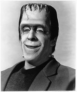 The Munsters: The Complete Series [DVD]