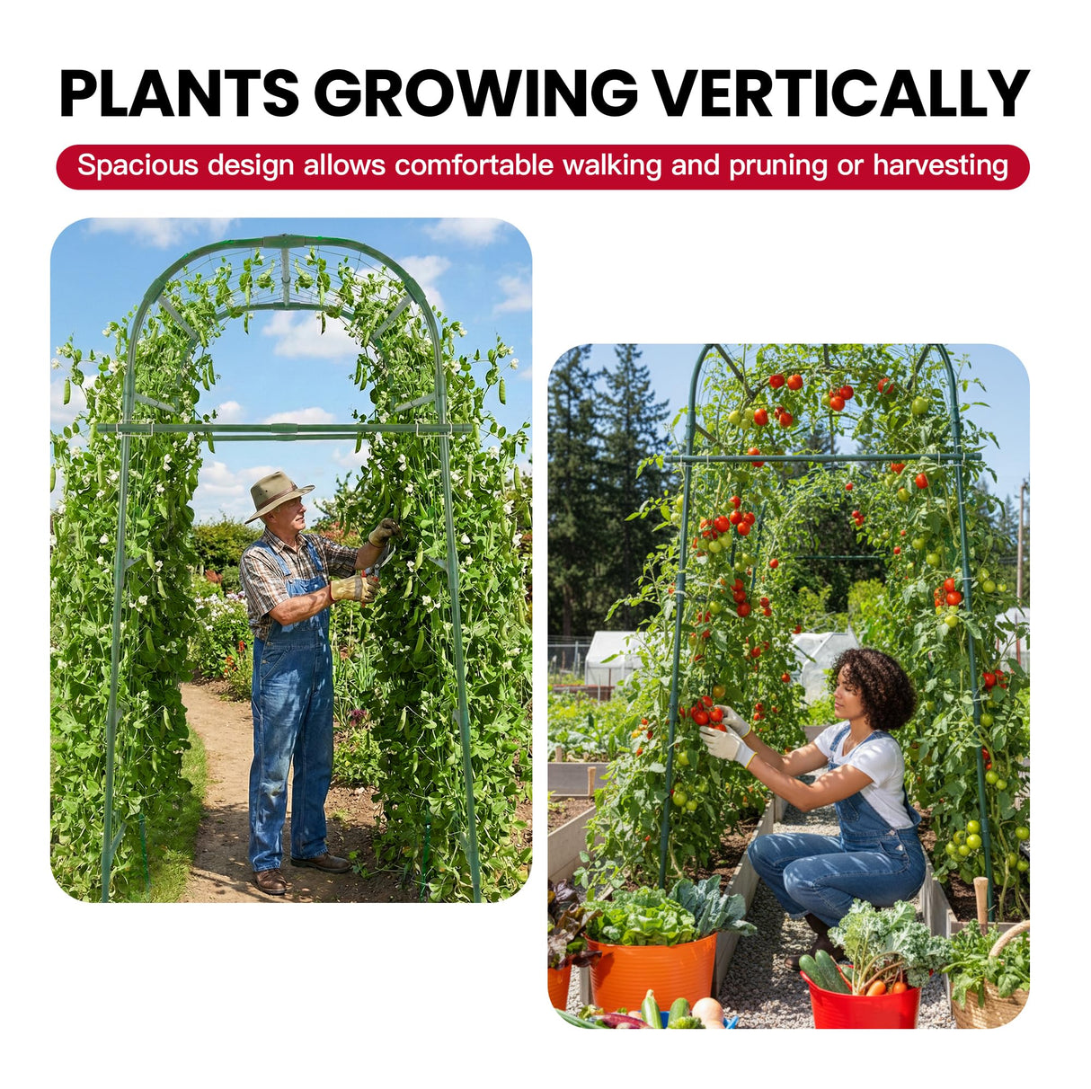 Garden Arch Trellis for Climbing Plants Outdoor, 7 Ft Tall Cucumber Trellis