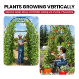 Garden Arch Trellis for Climbing Plants Outdoor, 7 Ft Tall Cucumber Trellis