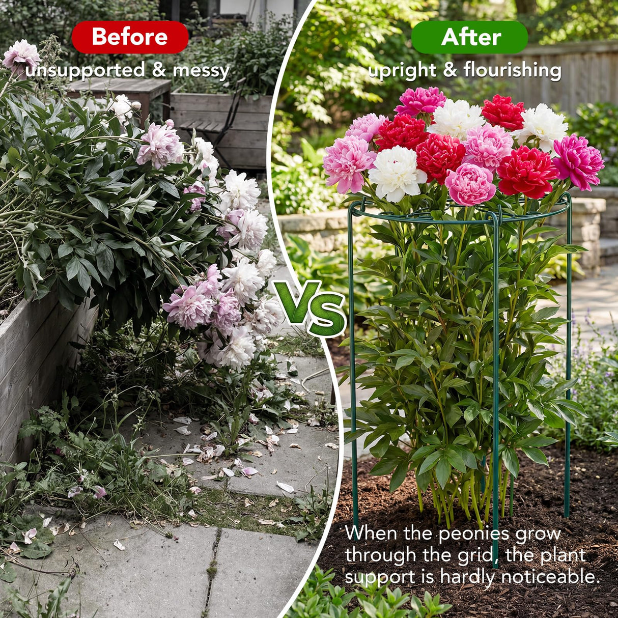 6 Pack 16 x 24 Inch Peony Cages and Supports, 16" D x 24" H Grow Through Plant Support Grid Brace for Outdoor Plants Flower, Metal Peony Stake Peony Ring Hoops Frame Support for Rose Tomato Vegetables