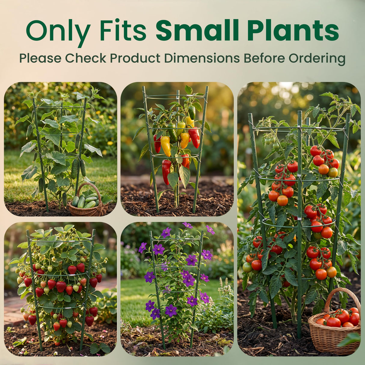 Oriva 4 Pack Round Tomato Cages for Garden,18 inches Small Metal Tomato Cages with Adjustable Rings,Tomato Trellis and Plant Support for Raised Garden Beds, Pots and Climbing Vegetables