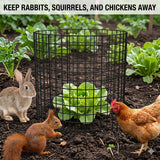 3Pack 17x14 Inch Green Coated Galvanized Wire Plant Protectors, 9Pcs Mesh Cloches with Stakes & Zip Ties, Chicken Wire Cage for Rabbits Squirrels Chickens, Garden Vegetable Seedling Protection