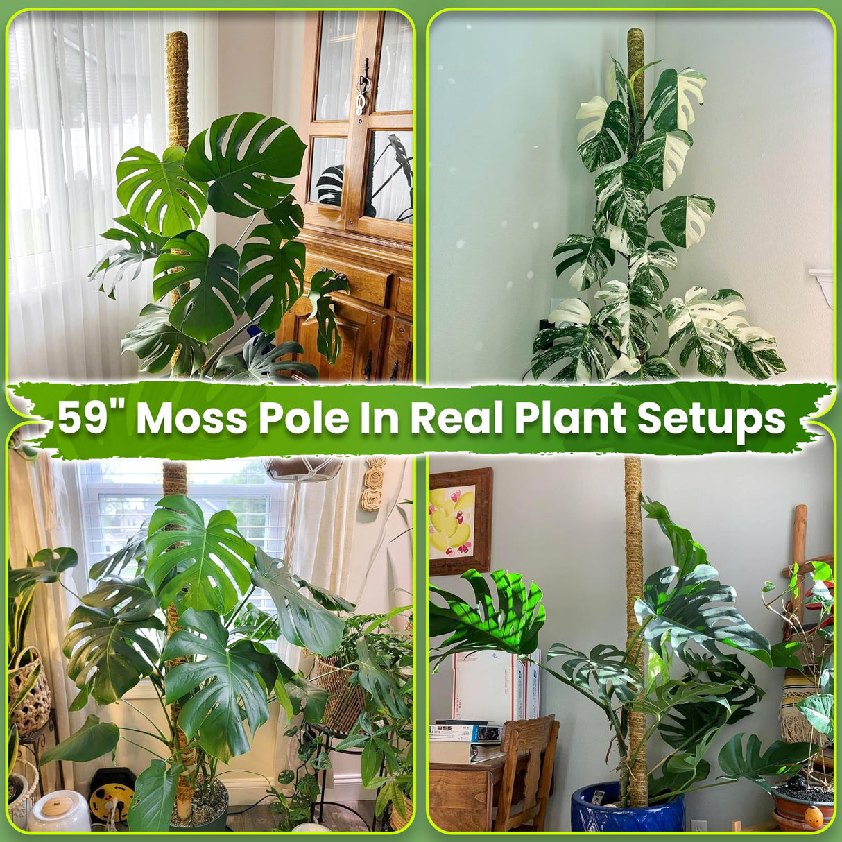 DUSPRO 59" Natural Large Moss Pole for Big & Mature Plants, (1pc., 59'')