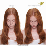 Dove Dry Shampoo Spray, Hair Volume & Fullness, Absorbs Oil, 5 oz (2-Pack)