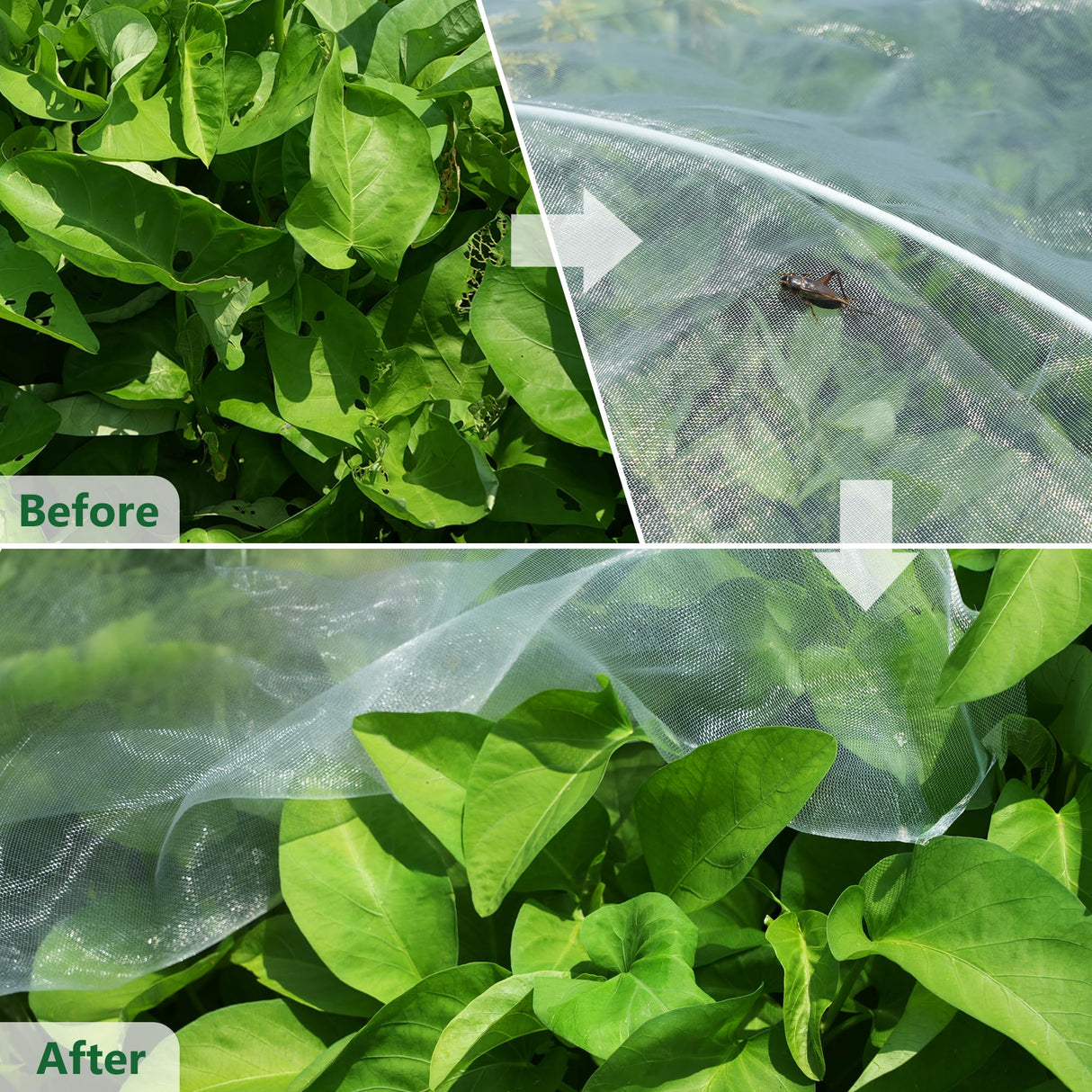 10 * 33FT Ultra Fine Garden Mesh Netting Pest Barrier, White Plant Covers for Outdoor Patio Greenhouse Crop Vegetables Fruit Flower Garden Protection, Row Covers Fabric Screen Insect Bug Bird Netting