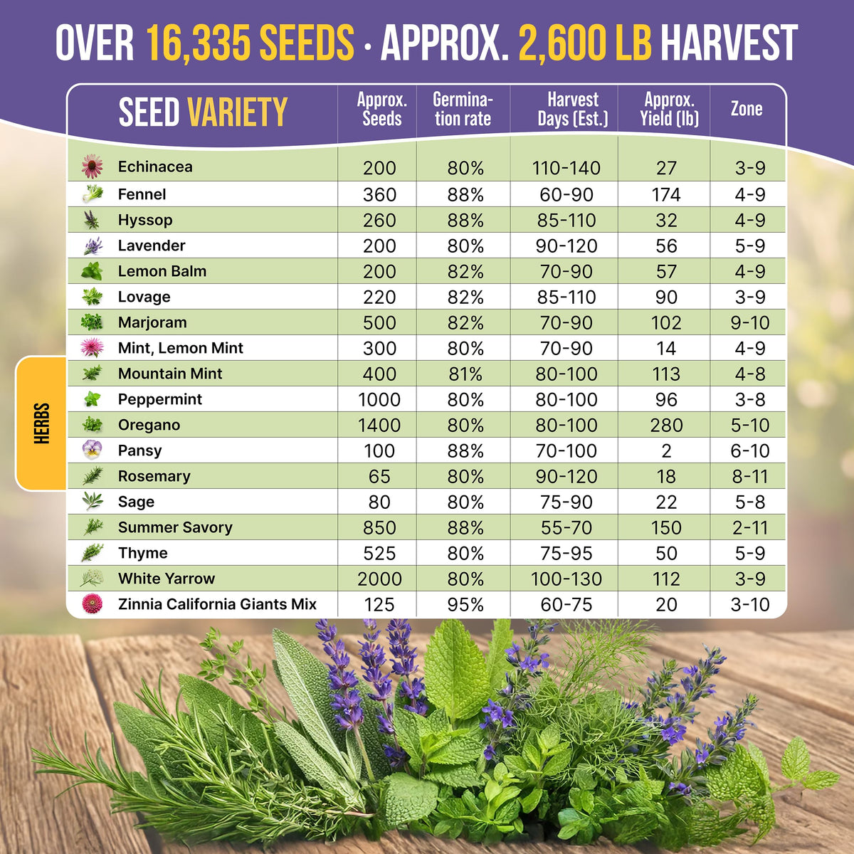 35 Medicinal & Tea Herb Seeds Variety Pack for Indoor & Outdoors. 16,335+ Non-GMO Heirloom Garden Seeds: Anise, Bergamot, Borage, Cilantro, Chamomile, Dandelion, Rosemary Seeds & More