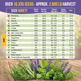 35 Medicinal & Tea Herb Seeds Variety Pack for Indoor & Outdoors. 16,335+ Non-GMO Heirloom Garden Seeds: Anise, Bergamot, Borage, Cilantro, Chamomile, Dandelion, Rosemary Seeds & More