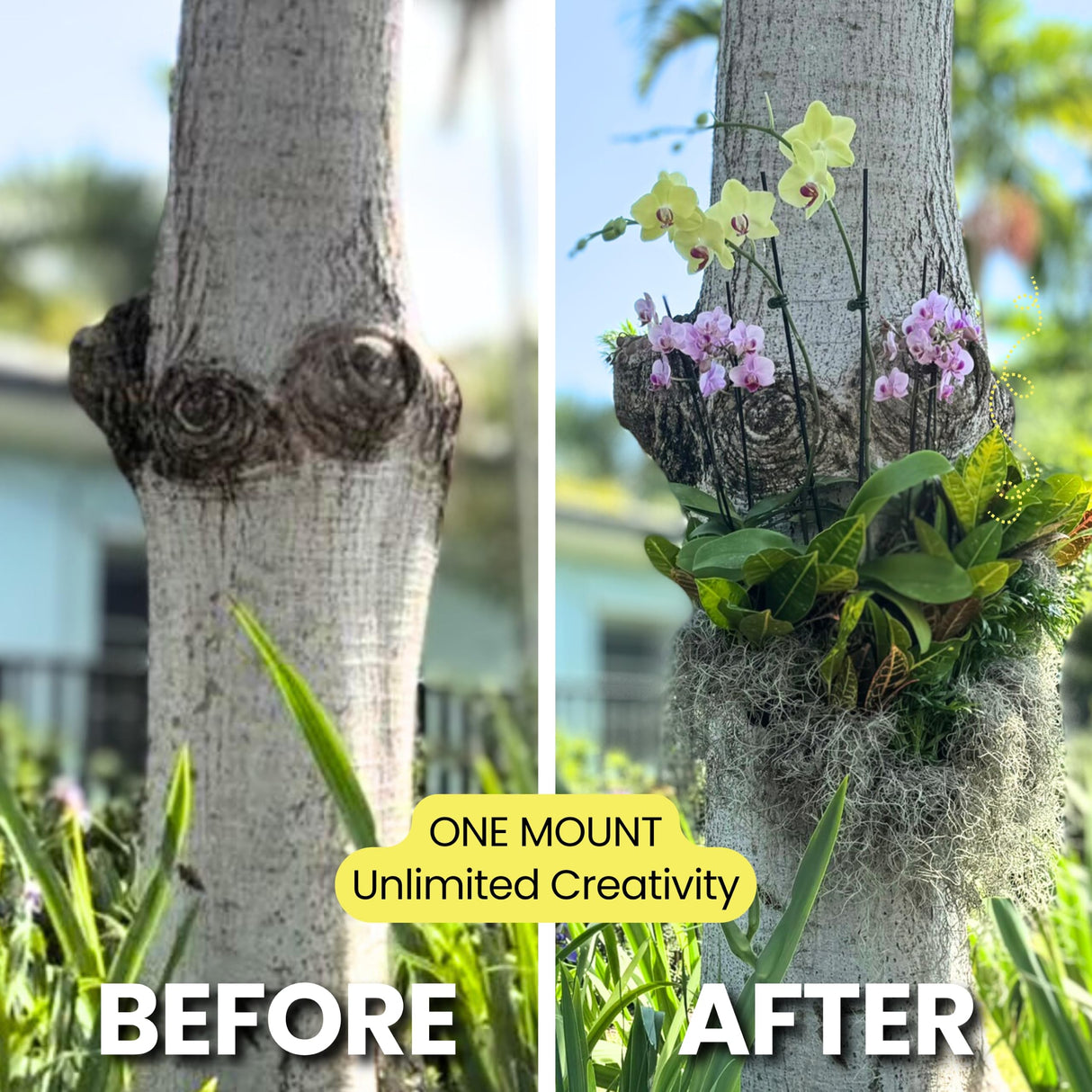 OrchidHug Universal Orchid Mounting Ring – Open Adjustable Design Fits All Orchid Sizes | Mount Orchids on Trees or Walls | Flexible Green Coated Steel with Stainless Screws | Easy Install | 4 Pack