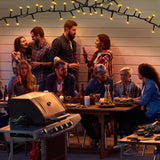 Ogrmar 82 ft 1000 LED Christmas Cluster Lights 8 Modes Christmas String Lights with Timer Function & Connectable for Xmas Home Garden Wedding Party Xmas Tree Indoor Outdoor Decor (1000, Warm White)