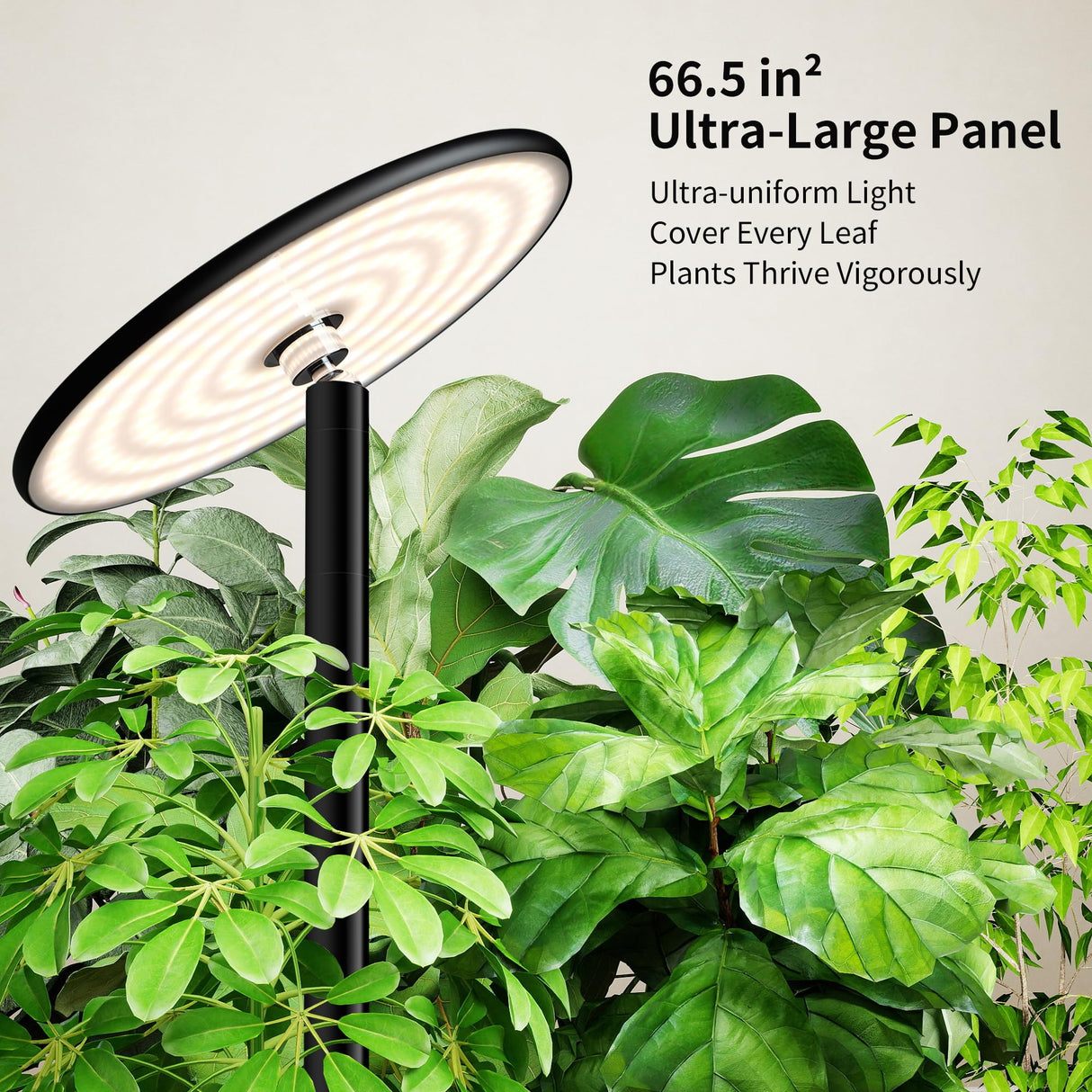 chiphy 85" Tall Grow Light for Large Indoor Plants, 60W Full Spectrum Plant Light with 4/8/12H Timer & Remote, 10-Level Dimmable, Height Adjustable, Ideal for Large Tall Plants & Indoor Trees