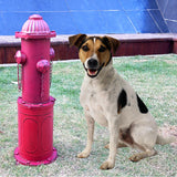 YiLifebes Dog Fire Hydrant Pee Post, 22.4" H Fake Fire Hydrant for Dogs to Pee on, Large Metal Pee Post Statue for Yard Garden Indoor & Outdoor