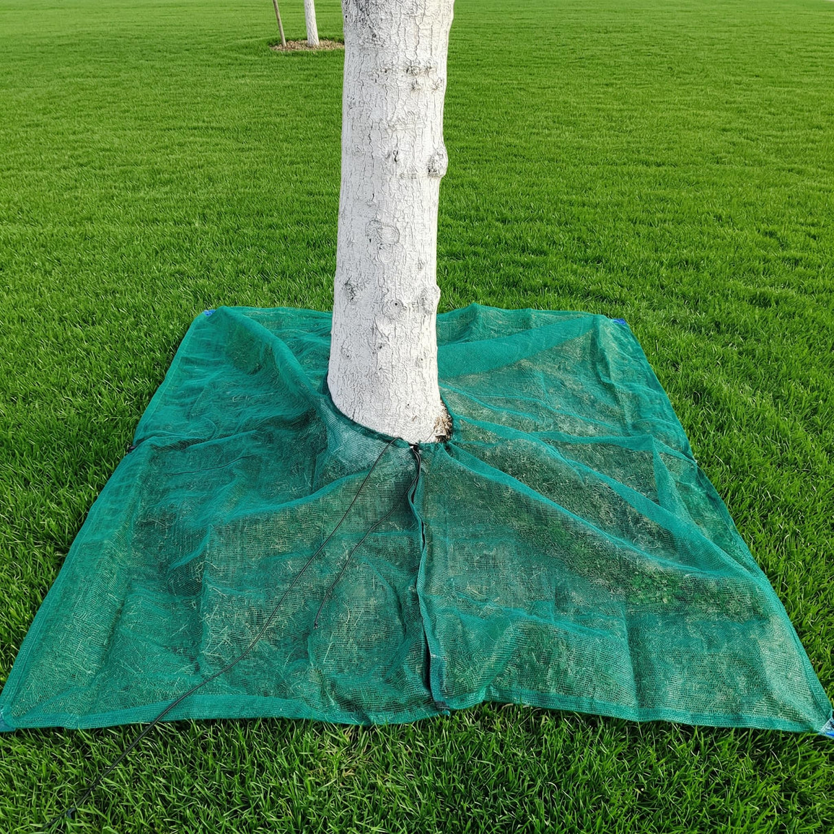 16.5×16.5FT HDPE Square Olive Harvest Net with Center Drawstring Opening,Heavy Duty Reusable Collection Net with Hoop and Loop Side & 4 Ground Stakes for Yard and Orchard