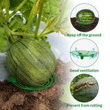 15 Pack Melon Cradle for Garden Pumpkin Support Stand Trellis,Avoid Ground Rot,Plastic Plant & Garden Support for Pumpkin Watermelons Squash Strawberries(Green)