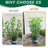 TCBWFY 10 Pack Garden Plant Support Stakes,10" Widex16 High Heavy Duty Interlinked Half Round Peony Support Ring Cage for Indoor Outdoor Plants,Plant Supports for Peony,Tomato,Hydrangea,Rose