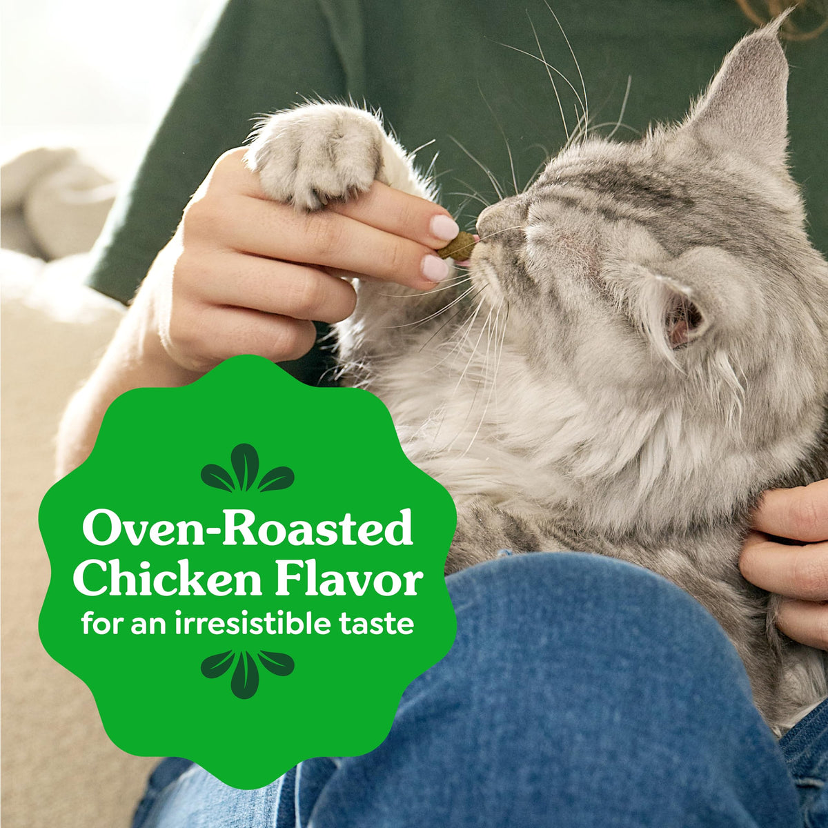 Greenies Feline Natural Dental Cat Treats, Roasted Chicken Flavor, 21 oz