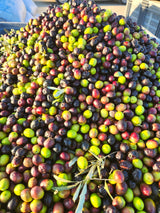 Cold Pressed Virgin Olive Oil 1 L - 33.81 Fluid Ounce, Antique Ephesus, Mediterranean Region of Ayvalik Turkey