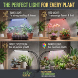 Bloom Lume LED Grow Lights for Indoor Plants Full Spectrum 6000K - Plant Grow Lights Indoor Features Multi Mode Color Spectrums (Red, White & Blue), Dimmable, Auto Timer, Clip on Gooseneck Plant Lamp