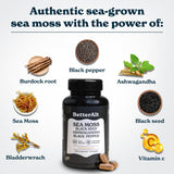 Better Alt Seamoss Capsules- Irish Sea Moss with Black Seed Oil, Ashwagandha & Black Pepper for Stamina, Strength & Endurance- High Potency Sea Moss Supplement - 60 Servings, 120 Capsule