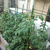 4Feet 48inch Garden Stakes Sturdy Plant Sticks Support Tomato Stakes for Vegetable,Pack of 20
