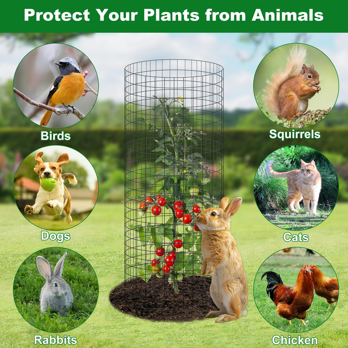 winemana 12 Set Plant Protectors Covers from Animals, 36 Pcs 24x12 Inch Metal Wire Garden Cages with Stakes & Ties, Outdoor Protection to Keep Rabbits Chickens Out for Flowers Vegetables (Black)