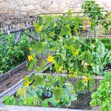 Kyrieval 48" Hx 18" L Cucumber Trellis for Garden A Frame Plant Support for Raised Bed, Outdoor Indoor Plant Garden Trellis for Climbing Plants