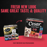 Cesar Loaf & Topper Wet Dog Food, Variety Pack, 3.5 oz, 24 Count