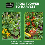 Handheld Pollinator Tool with Soft Silicone Brush for Indoor Garden Flowers