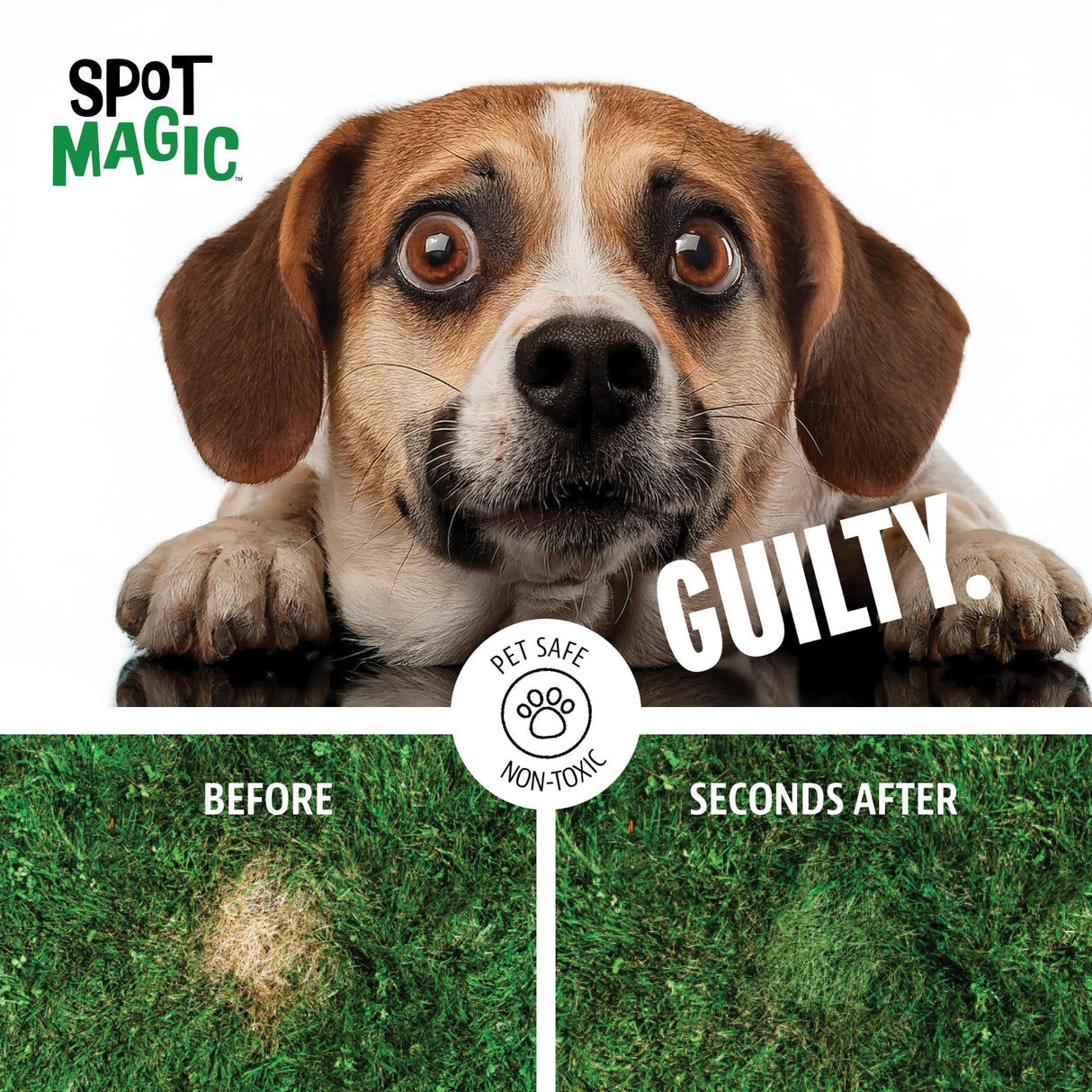 Spot Magic by Mark & Phil’s - Green Instant Lawn Grass Colorant Spray 24oz - Non-Toxic Pet & Kid Safe,- Long-Lasting Results for Concealing Brown & Pet-Damaged Grass Areas