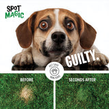 Spot Magic by Mark & Phil’s - Green Instant Lawn Grass Colorant Spray 24oz - Non-Toxic Pet & Kid Safe,- Long-Lasting Results for Concealing Brown & Pet-Damaged Grass Areas
