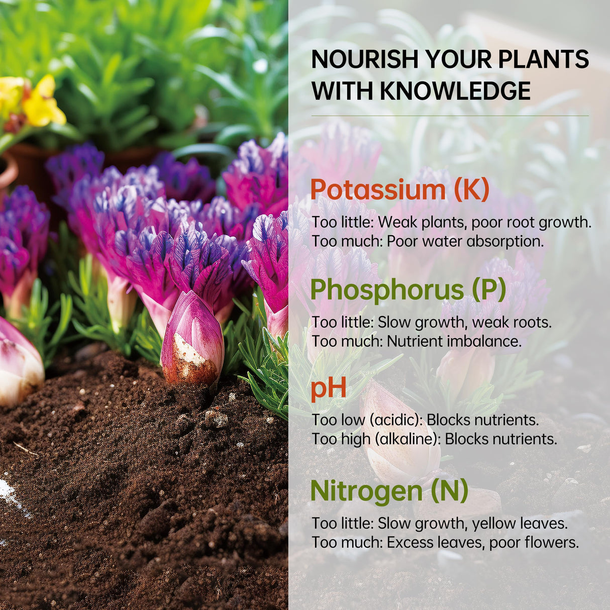 AAwipes Soil Test Kit for 4-in-1 pH, Nitrogen(N), Phosphorus(P), Potassium(K) Levels – 40 Tests for Garden, Lawn, Yard & Plant Care – Reliable Nutrient Tester with Sampling Accessories