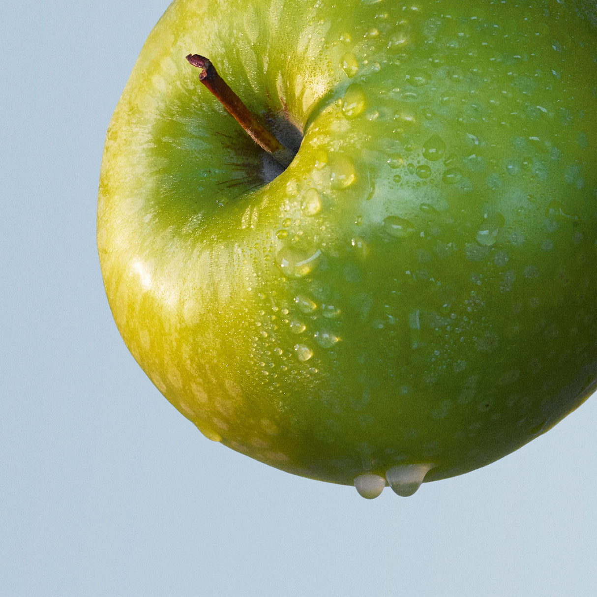 Hugo Boss BOTTLED TONIC Eau de Toilette, 1.6 Fl Oz