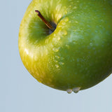 Hugo Boss BOTTLED TONIC Eau de Toilette, 1.6 Fl Oz