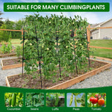 50"x48"Cucumber Trellis, Garden Arch Trellis for Climbing Plants Outdoor