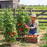 60 Inch Round Tomato Cages for Garden - 2 Pack Heavy Duty Metal Tomato Trellis Plant Support, Adjustable Height & Stackable, Easy Assembly for Outdoor Climbing Plants