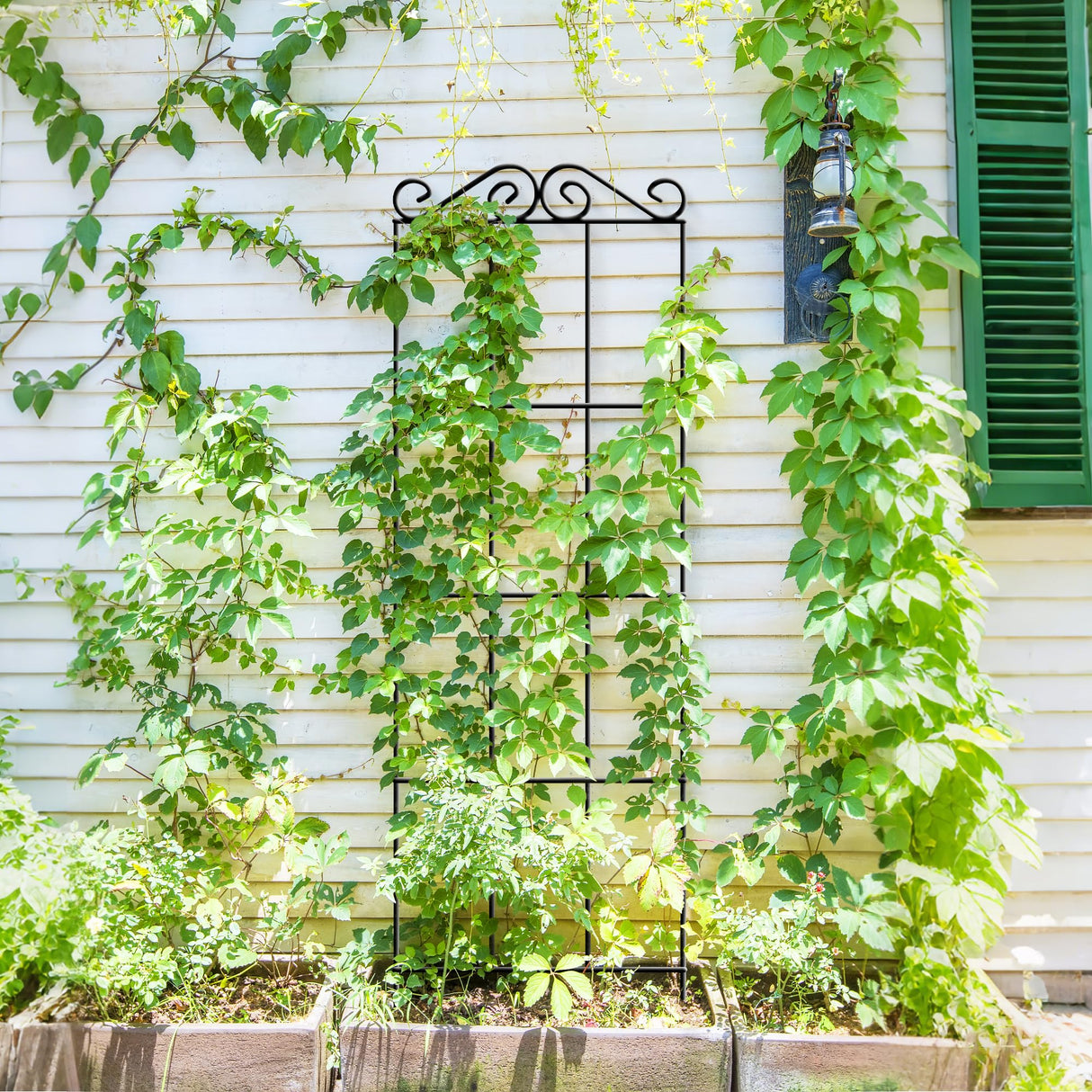 ARIFARO 4Pack 37.5'' Metal Garden Trellis for Climbing Plants Outdoor