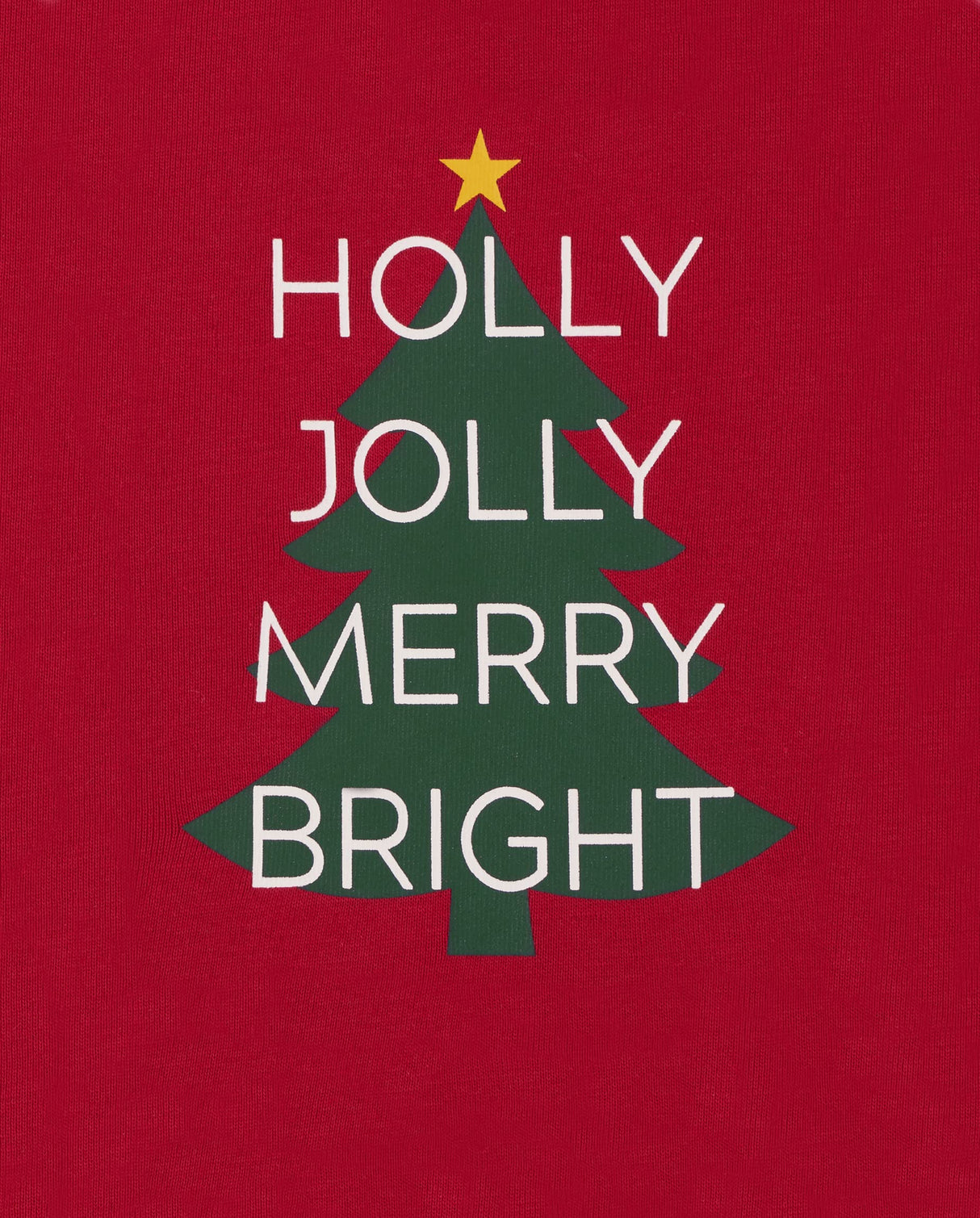 The Children's Place Baby Family Matching, Christmas and Holiday Pajama Sets, Cotton, Holly Jolly, XLarge (Adult)