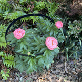 GOOOXIM 23.6" Peony Cages and Supports,Plant Support Ring for Hydrangea