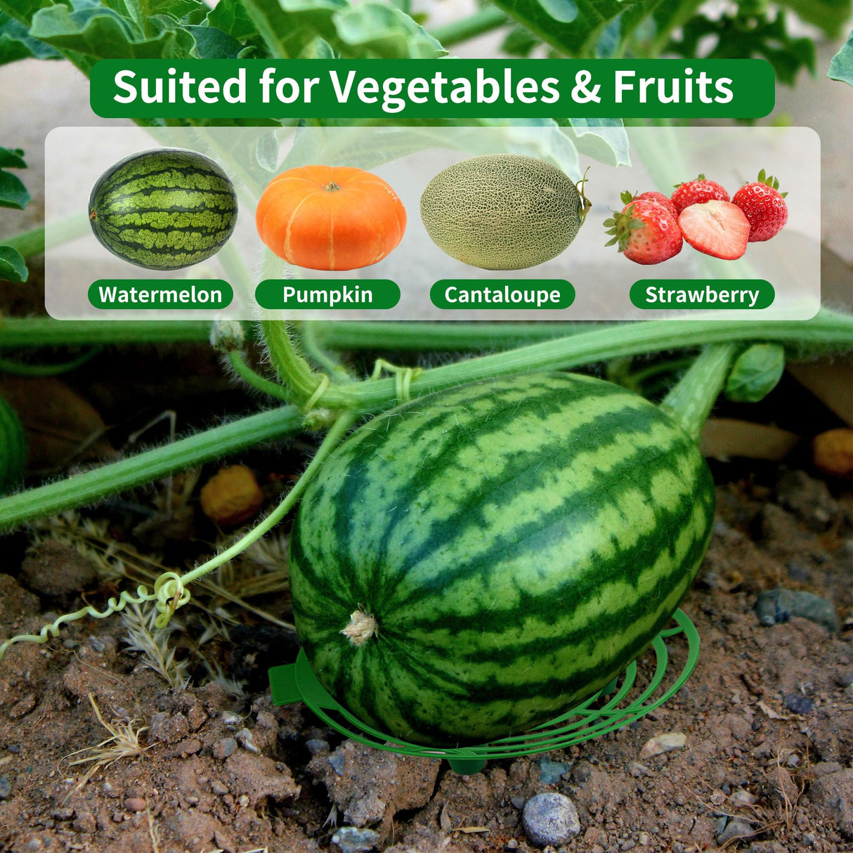 15 Pack Melon Cradle for Garden Pumpkin Support Stand Trellis,Avoid Ground Rot,Plastic Plant & Garden Support for Pumpkin Watermelons Squash Strawberries(Green)