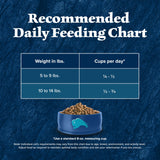 Blue Buffalo Wilderness Chicken Adult Indoor Dry Cat Food, Grain-Free, 5 lb