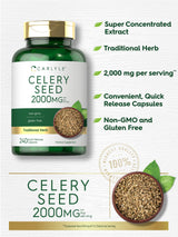 Carlyle Celery Seed Extract Capsules | 2000mg | 240 Count | Traditional Herb Supplement | Non-GMO and Gluten Free Formula