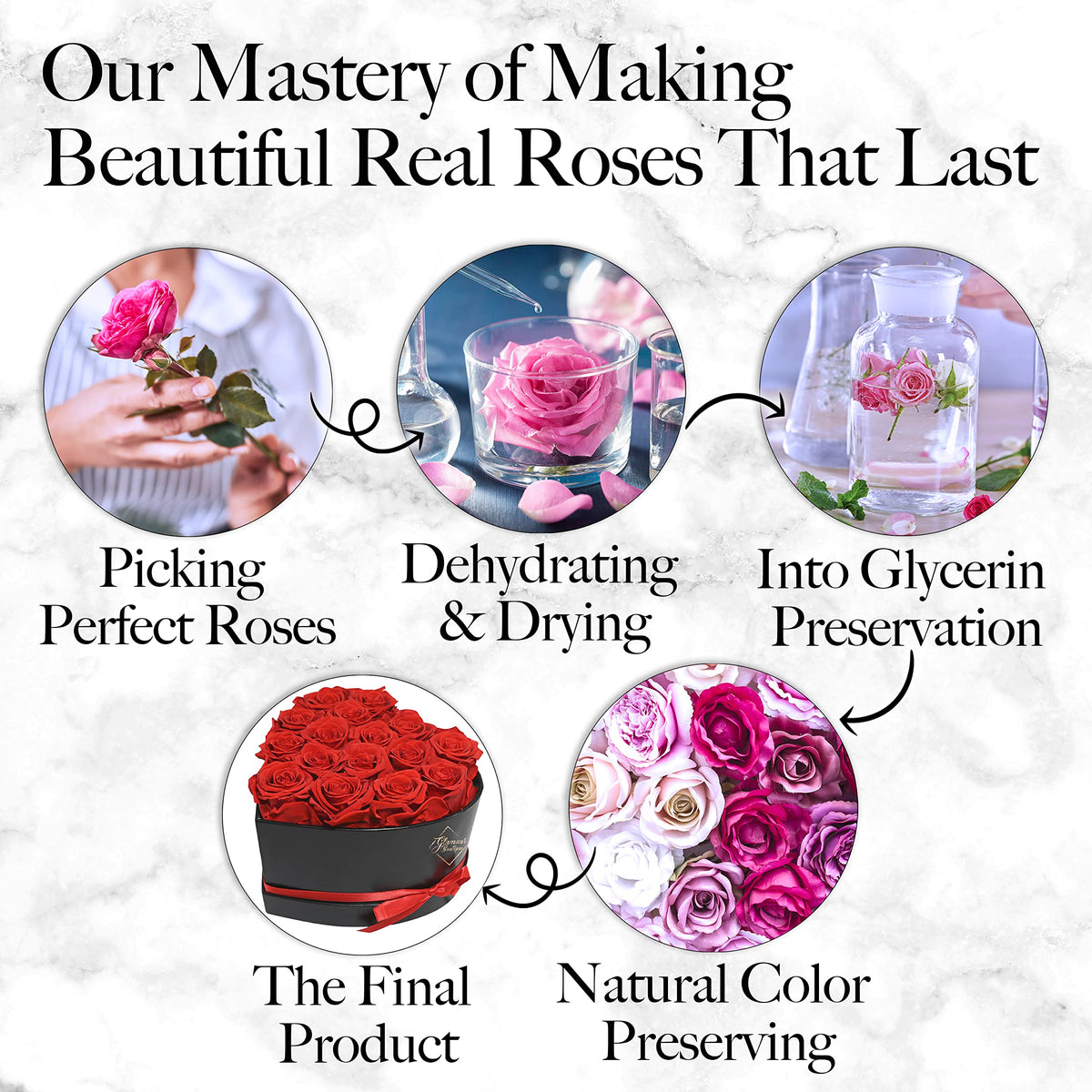 GLAMOUR BOUTIQUE Preserved Flowers, 16 Forever Red Roses in Heart Gift Box