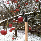 Coloch 20 Pack Metal Tree Branch Support, Y-Shape Tree Crutch Holders Plant Straightening and Leaning Kit Propping Up Branch Spreaders for Fruit Trees, Garden, Fit 0.75 in Round Pole