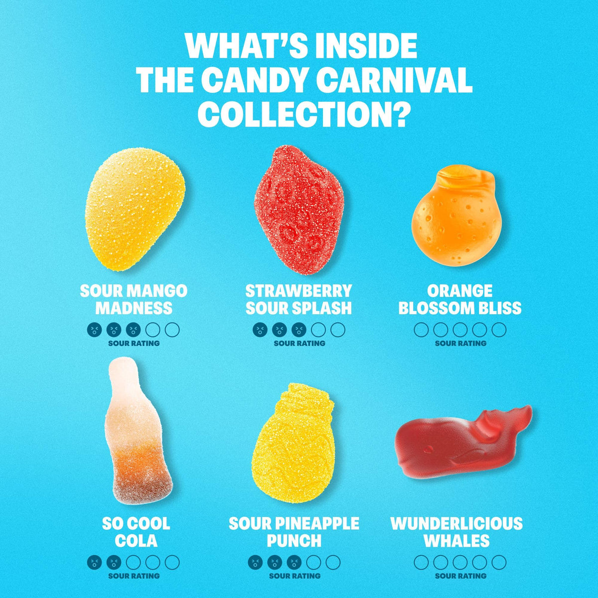 Shameless Snacks Candy Carnival - Sour Gummy Variety Pack & Fruit Snacks