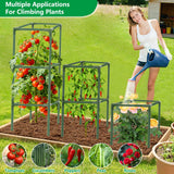 6 Pack 49" Square Tomato Cages, Heavy Duty Steel Tomato Trellis Kit