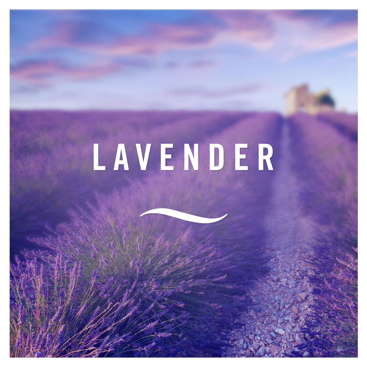 Febreze 300 ml Lavender Air Freshener Spray - Pack of 6